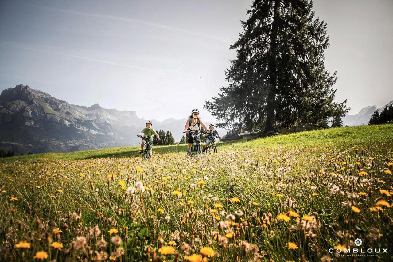 Chalet Alpen Valley, Mont-Blanc Комблу Экстерьер фото