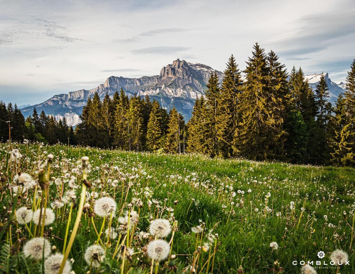 Chalet Alpen Valley, Mont-Blanc Комблу Экстерьер фото