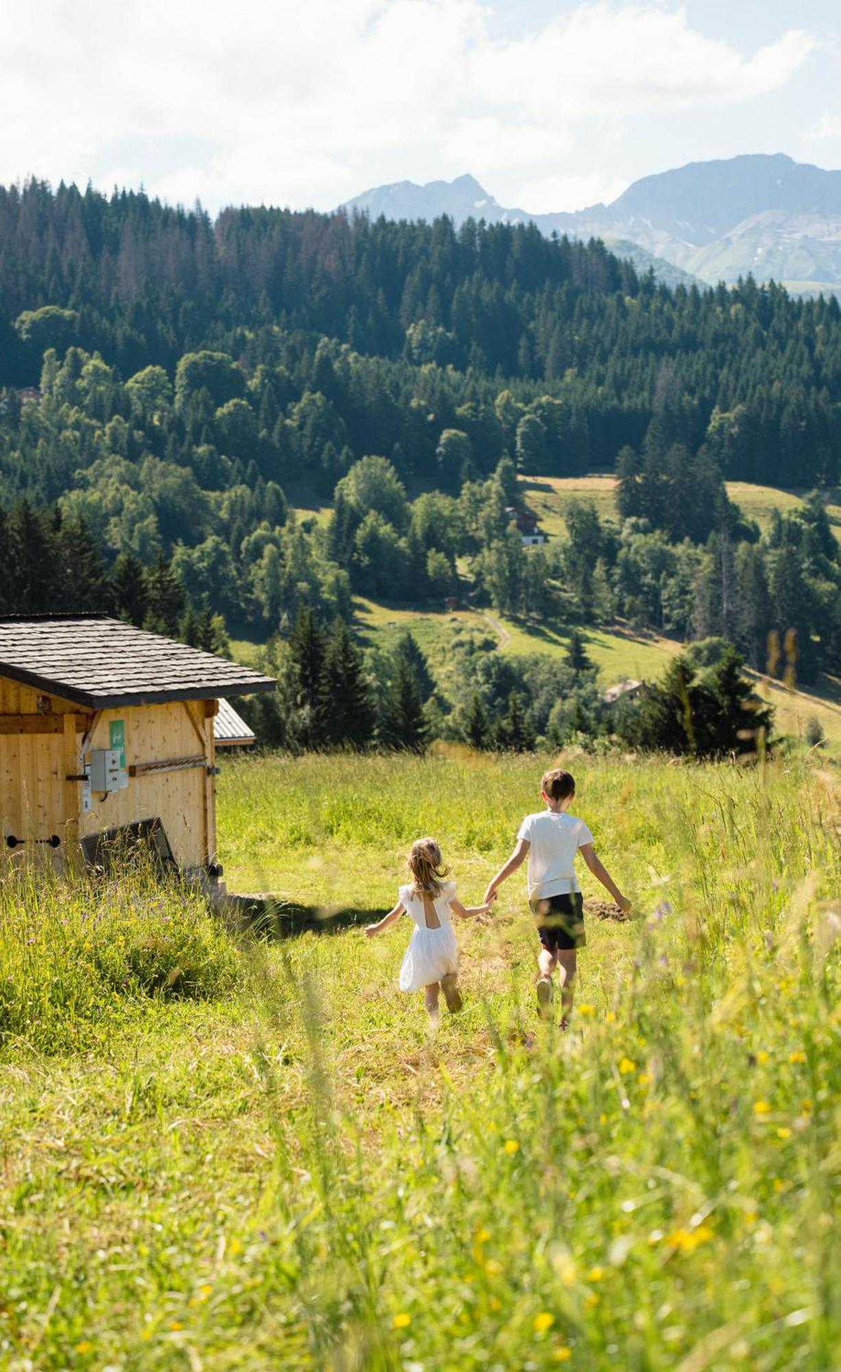 Chalet Alpen Valley, Mont-Blanc Комблу Экстерьер фото